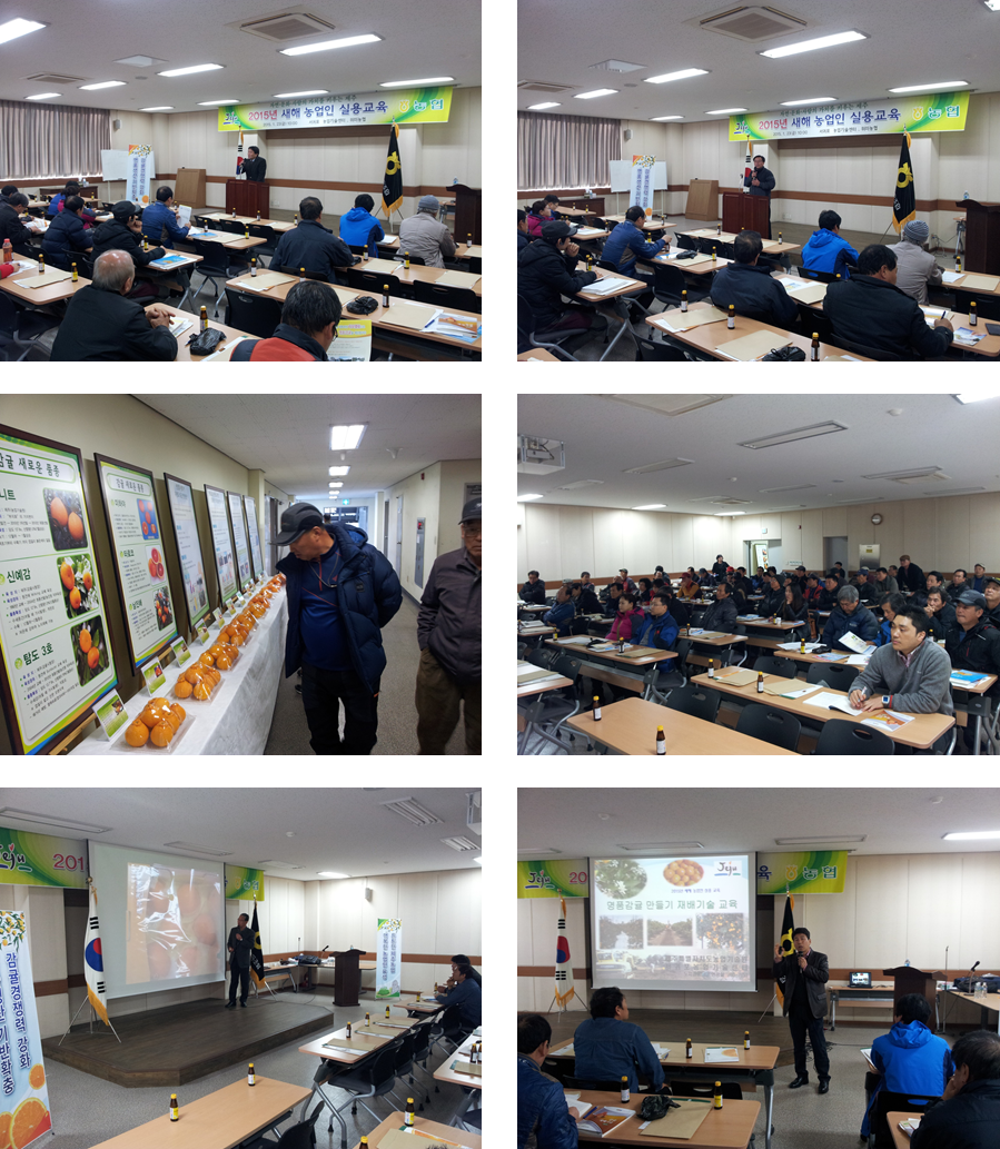 새해 농업인 실용교육 (노지감귤 재배기술, 만감류 재배기술 - 2015. 01. 23)